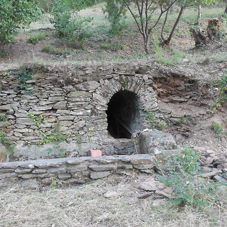 La Bergerie Villa La Garde-Freinet Kültér fotó