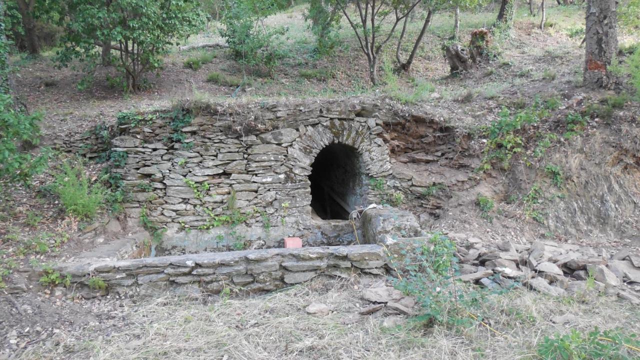 La Bergerie Villa La Garde-Freinet Kültér fotó