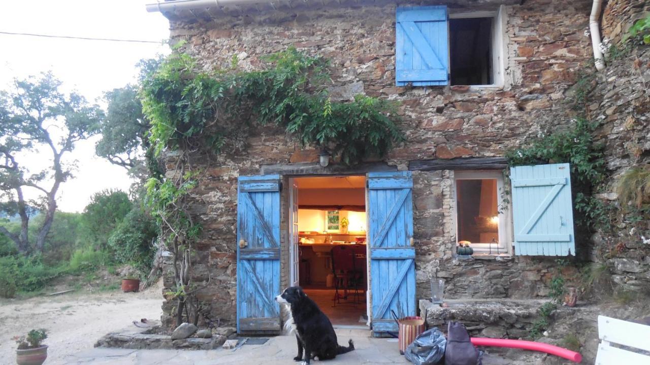 La Bergerie Villa La Garde-Freinet Kültér fotó